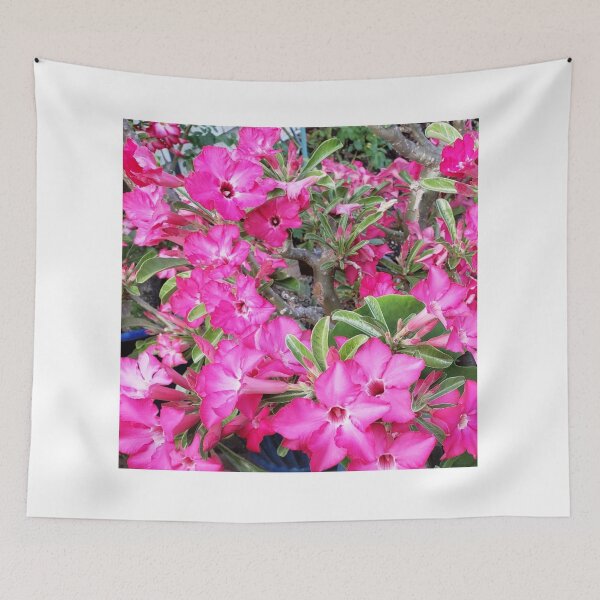 Item preview,  Desert rose flowers.  designed and sold by imyournightmare.