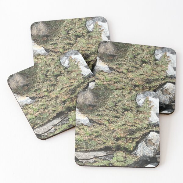 Item preview, rock garden designed and sold by luvUluvMe.