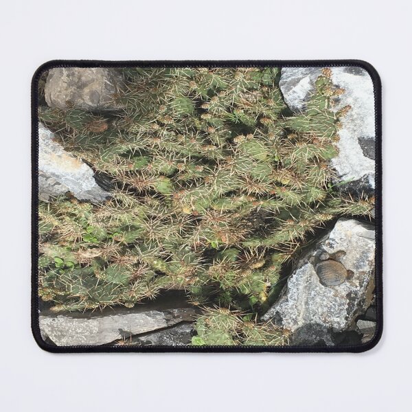 Item preview, rock garden designed and sold by luvUluvMe.
