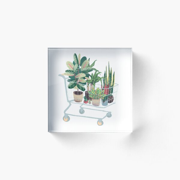 Planta amigos Bloque acrílico