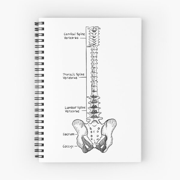 Item preview, Spine designed and sold by JudePeters.