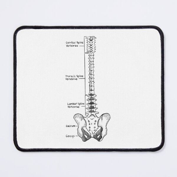 Item preview, Spine designed and sold by JudePeters.