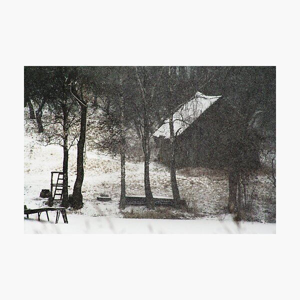 Snow Photographic Print