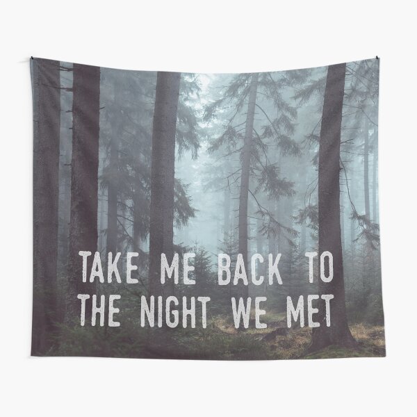The Night We Met Tapestry