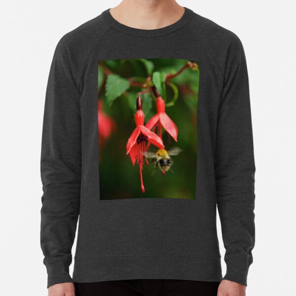 Fuchsia at Loch Na Fooey (wide) Lightweight Sweatshirt