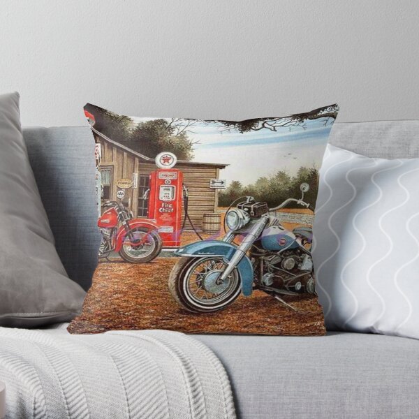 Vintage Motorcycle with Sidecar Cat Driving Throw Pillow for Sale by  GraphicGenie