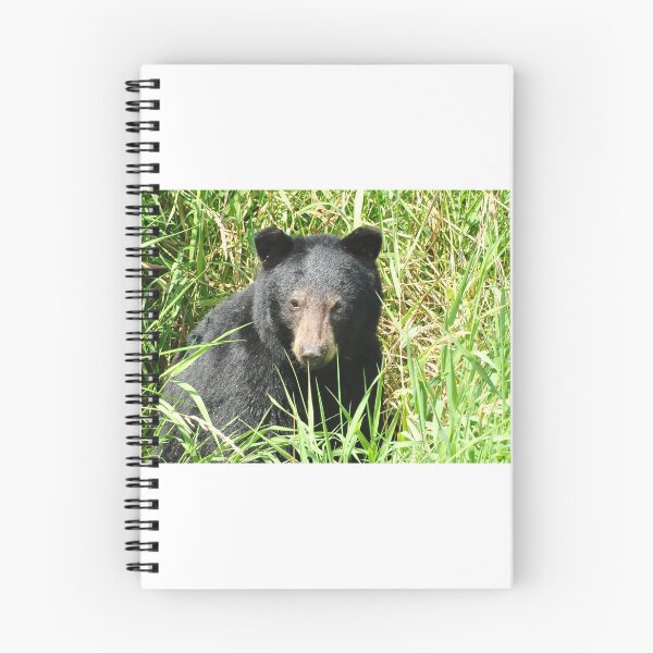 Item preview, Oso negro designed and sold by JennaKnight.