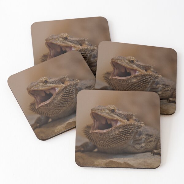 Hissing Bearded Dragon Coasters (Set of 4)