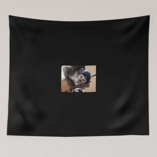 Item preview, Lucca designed and sold by Sheila Smith.