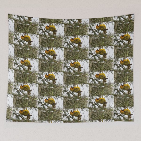 Item preview, Vitelline Masked Weaver (Ploceus vitellinus) Building a Nest designed and sold by Yair Karelic.