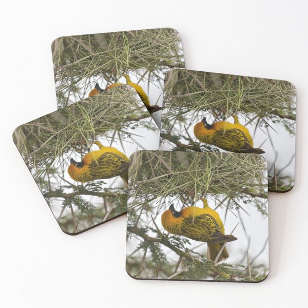 Item preview, Vitelline Masked Weaver (Ploceus vitellinus) Building a Nest designed and sold by Yair Karelic.