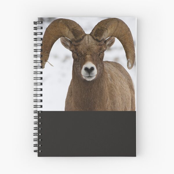 Item preview, Return of the Ram Classic designed and sold by muoiobcurfero.