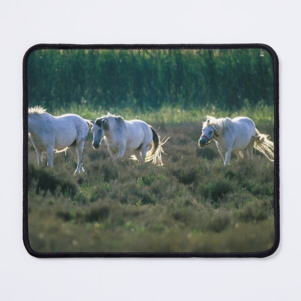 Item preview, Camargue horses designed and sold by Ingo Gerlach.