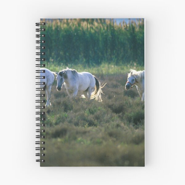 Item preview, Camargue horses designed and sold by Ingo Gerlach.