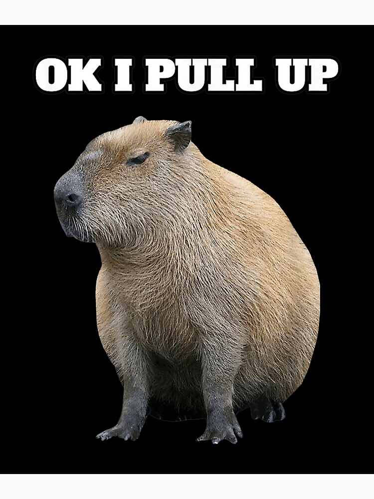 Ok I Pull Up Capybara Wallpaper