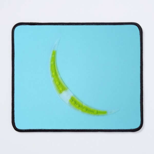 Item preview, Closterium desmid alga under the microscope designed and sold by SDym Photography.