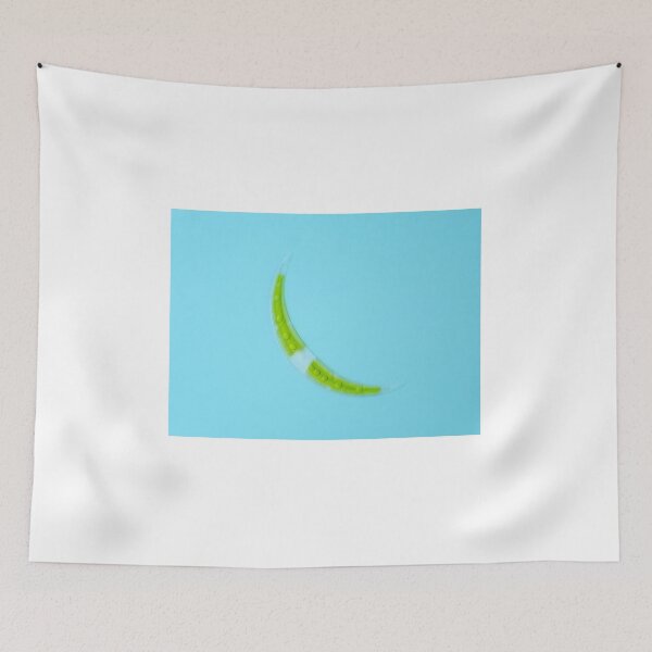 Item preview, Closterium desmid alga under the microscope designed and sold by SDym Photography.