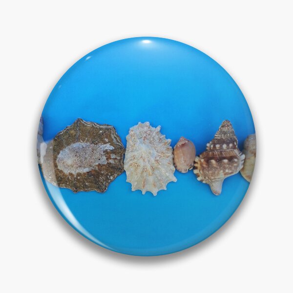 Item preview, Beach House Decor Seashells Stripe on Coastal Turquoise designed and sold by Beachy.
