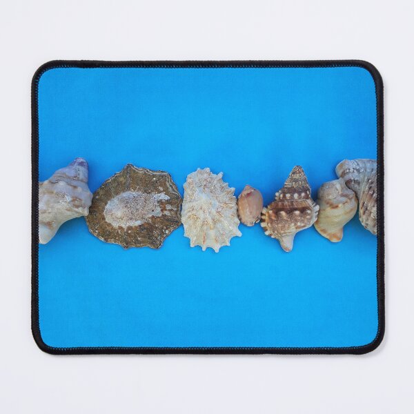 Item preview, Beach House Decor Seashells Stripe on Coastal Turquoise designed and sold by Beachy.