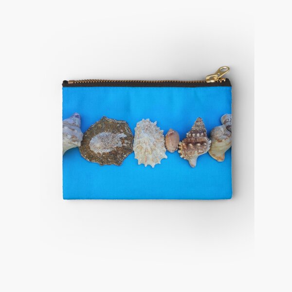 Item preview, Beach House Decor Seashells Stripe on Coastal Turquoise designed and sold by Beachy.