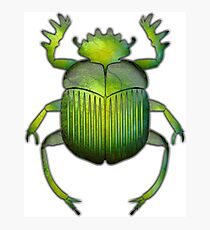 Egyptian Scarab 06 Photographic Print