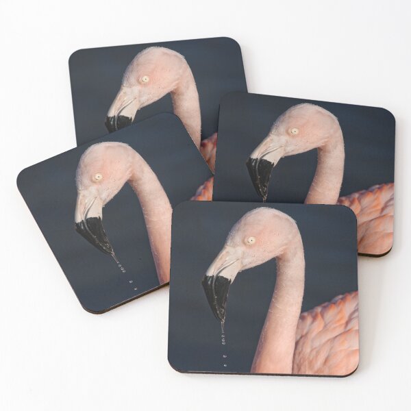 Item preview, Flamingo After Emerging From The Water designed and sold by rawshutterbug.