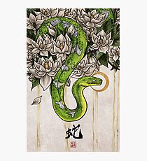 Snake Photographic Print