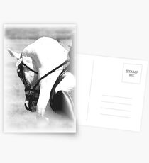 The Warm Up B&W Postcards