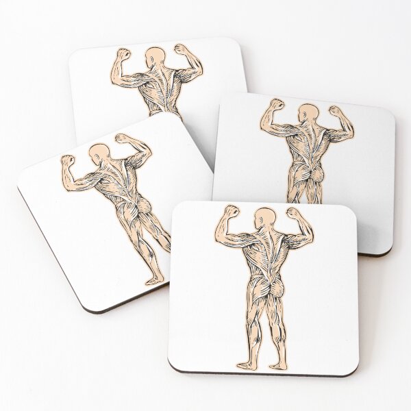 Item preview, Human Muscular System designed and sold by Shifa19.