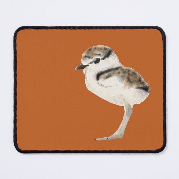 Item preview, Little Ringed Plover chick designed and sold by AndrasVasasArt.