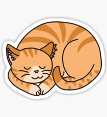 Pegatina Cat- Tabby naranja