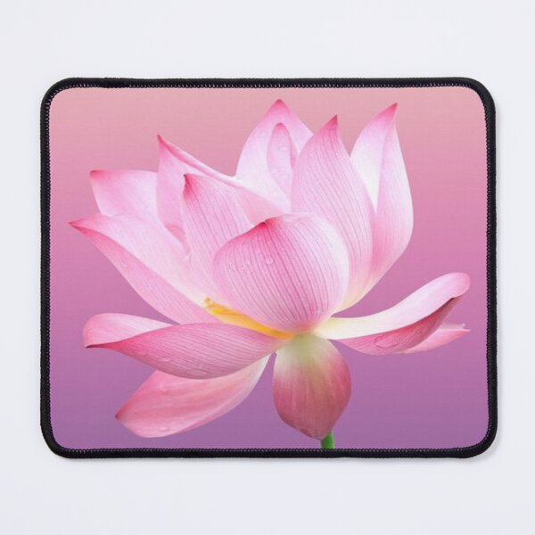 Item preview, Lotus Flower designed and sold by NengShop.