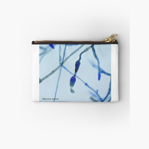 Item preview, Alternaria species designed and sold by Bobbi Pritt.