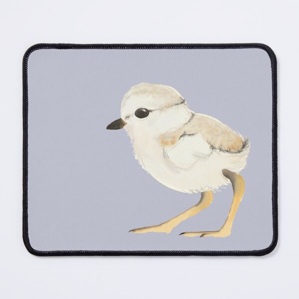 Item preview, Piping Plover chick designed and sold by AndrasVasasArt.