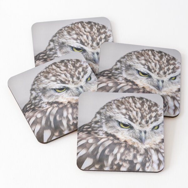 Item preview, Burrowing Owl designed and sold by photobytableau.