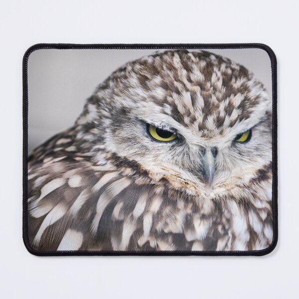 Item preview, Burrowing Owl designed and sold by photobytableau.