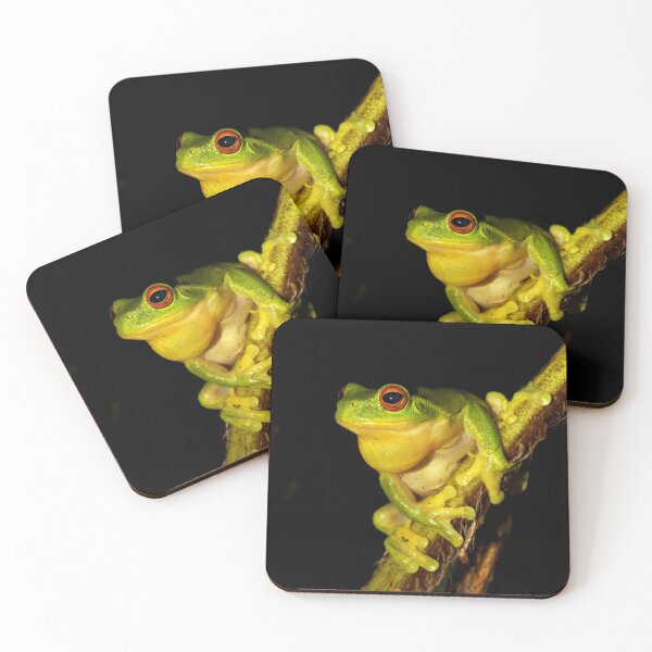 Item preview, Red Eyed Tree Frog - Litoria chloris designed and sold by Rob Price.
