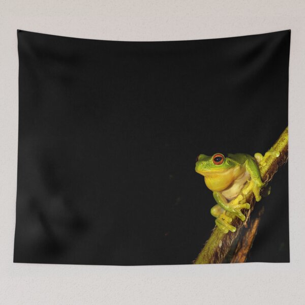 Item preview, Red Eyed Tree Frog - Litoria chloris designed and sold by Rob Price.