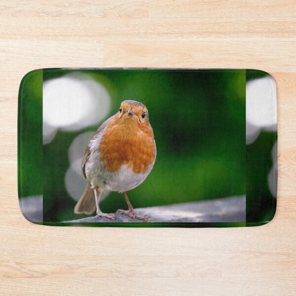 Item preview, Robin designed and sold by photobytableau.