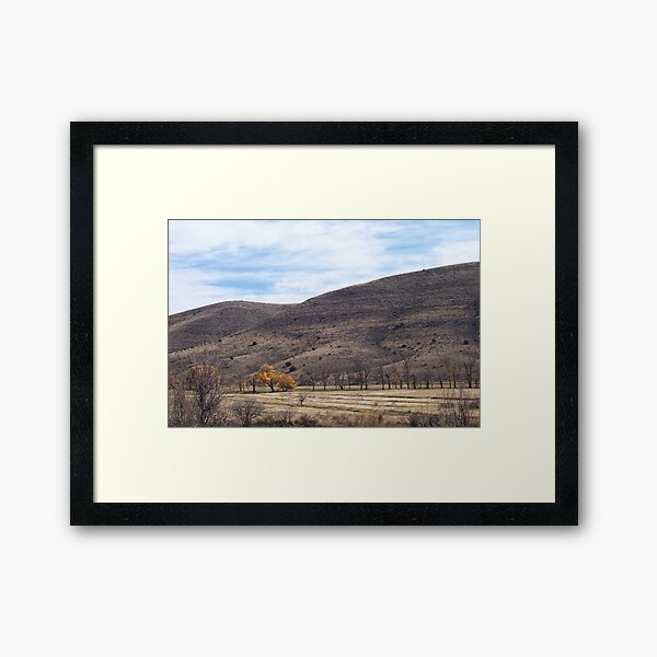 Fall in New Mexico Framed Art Print