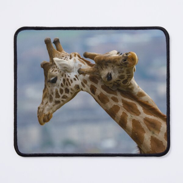 Item preview, Giraffe's neck bashing designed and sold by rawshutterbug.