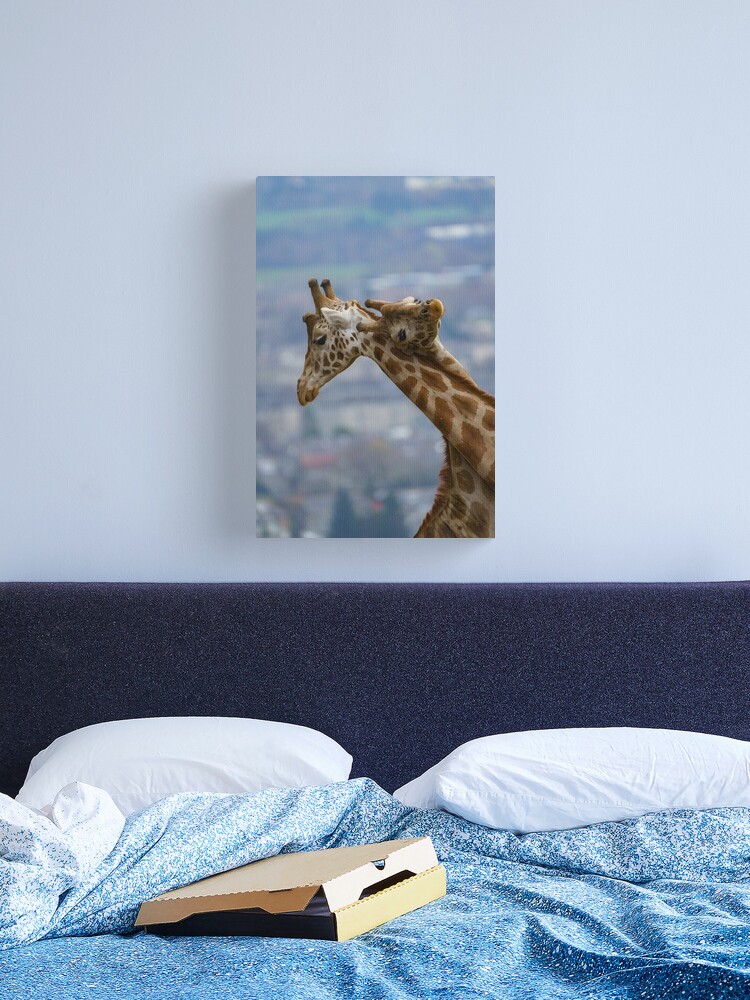 Giraffe's neck bashing Poster for Sale by rawshutterbug