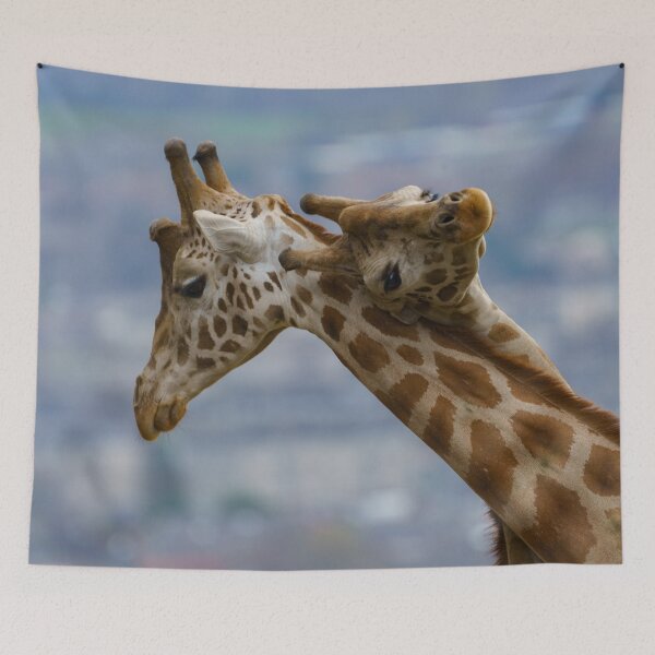 Item preview, Giraffe's neck bashing designed and sold by rawshutterbug.