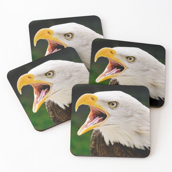 Item preview, Bald Eagle designed and sold by photobytableau.