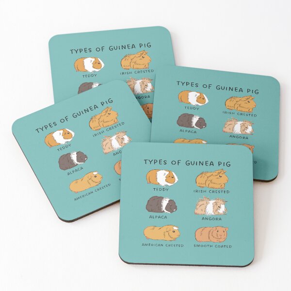 Aperçu de l'œuvre Types de cochon d'Inde 2 - cadeau drôle de cochon d'Inde créée et vendue par Paperfly Studio.