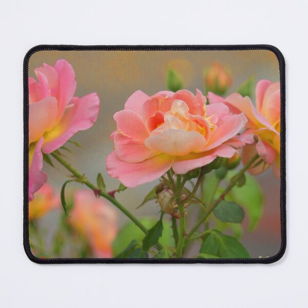 Item preview, Texas Rose 3 designed and sold by bertsworks300.