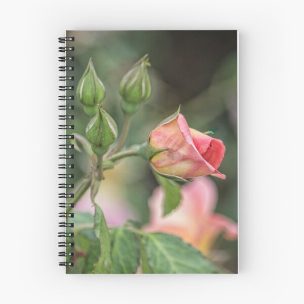 Item preview, Texas Rose 2 designed and sold by bertsworks300.