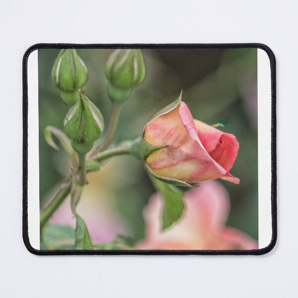 Item preview, Texas Rose 2 designed and sold by bertsworks300.