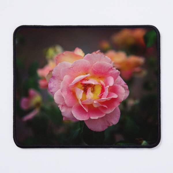Item preview, Texas Rose 1 designed and sold by bertsworks300.