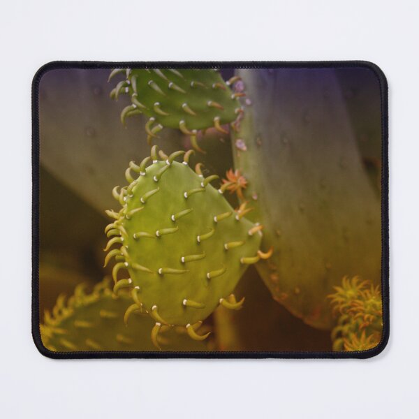 Item preview, Texas Cactus 2 designed and sold by bertsworks300.